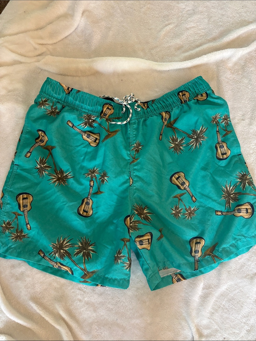 Goodfellow & Co Teal Swim Shorts with Guitar & Palm Print